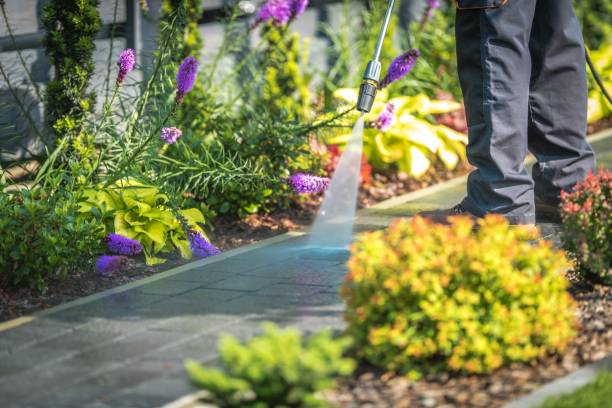 Best Parking Lot and Garage Cleaning  in Gainesboro, TN